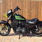 Harley-Davidson Sportster 1200 Custom Iron 1200