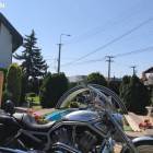 Harley Davidson V-road motor
