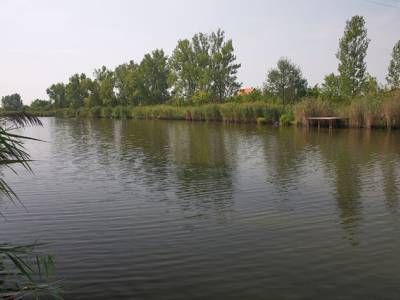 Elad&oacute; halast&oacute;, Gyomaendrőd